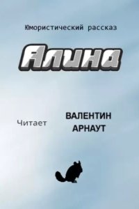 постер аудиокниги Алина - Валентин Арнаут