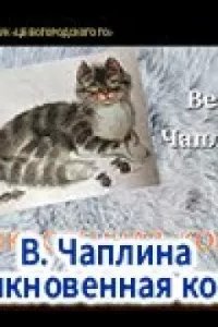 постер аудиокниги Обыкновенная кошка - Вера Чаплина