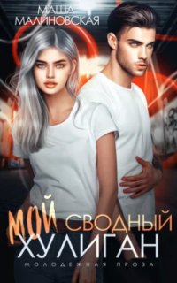 постер аудиокниги Мой сводный хулиган - Маша Малиновская
